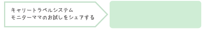 キャリートラベルシステムモニターママのお試しをシェアする
