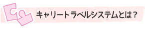 キャリートラベルシステムとは?